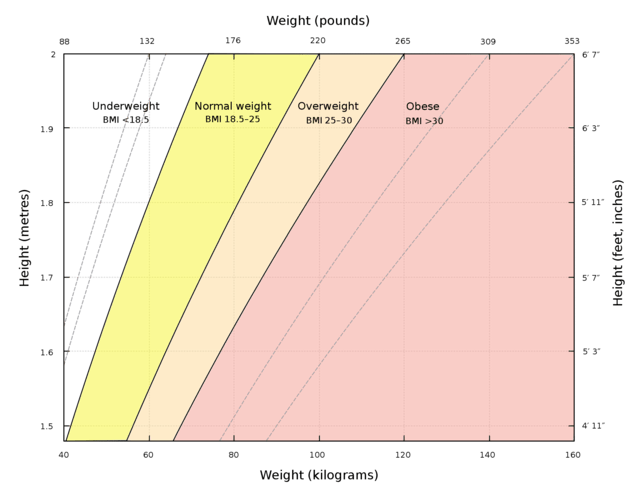 bmi chart for adults